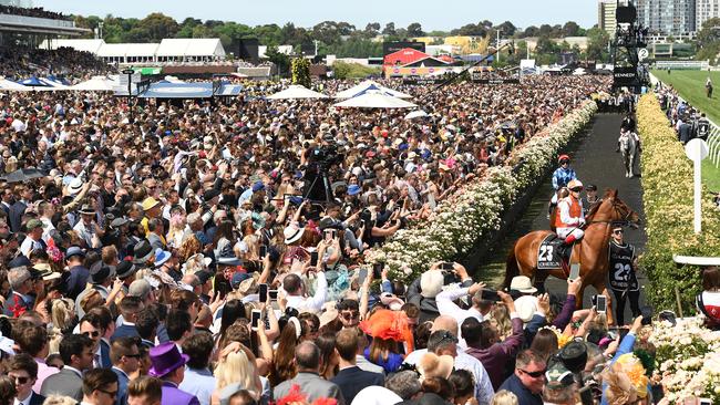 81,408 patrons watch 2019 Melbourne Cup winner Vow And Declare go out onto the track. Photo: Quinn Rooney/Getty Images.
