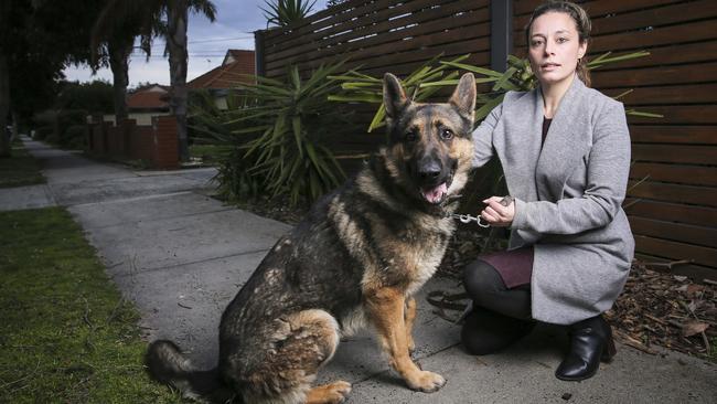 Nadia Liu will contest a fine issued from Kingston Council over dog Leo. Picture: Wayne Taylor