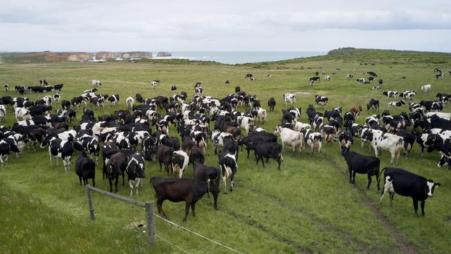 Australian farmers and graziers are some of the most efficient in the world. – and growing children need first-class protein such as meat and milk. Picture: Australian Dairy Nutritional Group