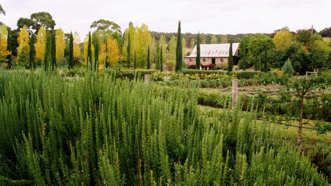 The grounds at the Lavandula Lavender Farm. Picture: News Corp Australia