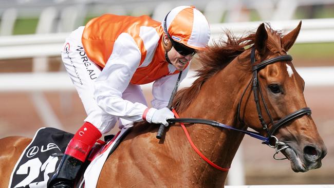 Vow And Declare will be hard to beat at Flemington. Picture: AAP