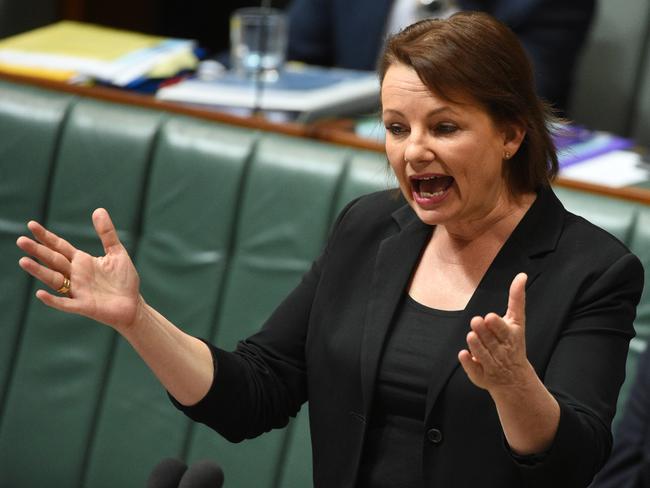 Federal Minister for Health and Aged Care Sussan Ley has promised the Government’s proposed online Myhealth record collection of all health records will be secure. Picture: AAP