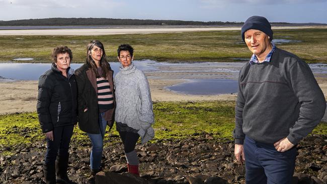 The Circular Head Coastal Awareness Network, from left, Kim Anderson, Rebecca Tyers, Colleen Murfitt and Bevan Anderson at the proposed site of the bridge to Robbins Island. Picture: CHRIS KIDD