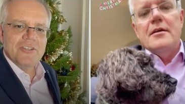 Prime Minister Scott Morrison has joined TikTok, posting a selfie video with his dog Bud wishing all Australians a safe and merry Christmas. Picture: TikTok