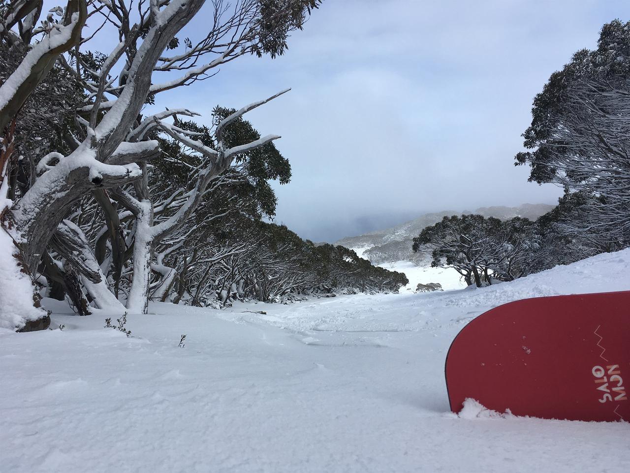 Mt Baw Baw ski and snow Weekend things to do for families from