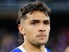 Dogs confirm Jamarra’s ‘flexible’ program, ‘personal issues’