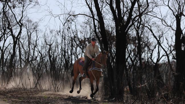 Peter Sandy riding Firefree the racehorse. Picture: Alex Coppel.