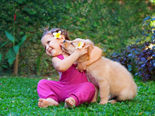 Golden Retrievers are well known for being great with kids. Picture: iStock