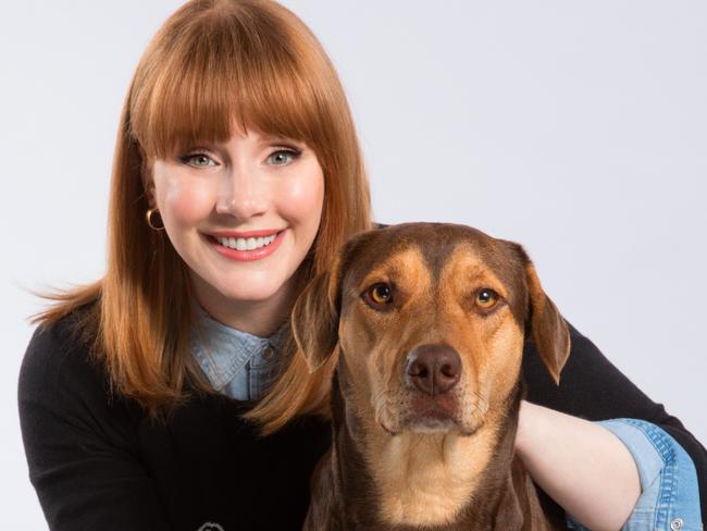 Bryce Dallas Howard and Shelby, the dog she gives voice to in the family friendly adventure A Dog’s Way Home. 