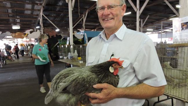 Rare breeds at the Darwin Show | The Weekly Times