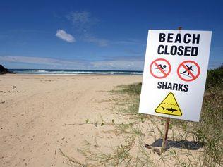 Lighthouse Beach at Ballina closed after a shark attack.Photo Cathy Adams / The Northern Star