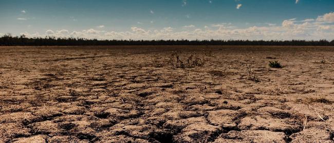 No water in sight as the drought has its cruel claws wrapped around much of Queensland.