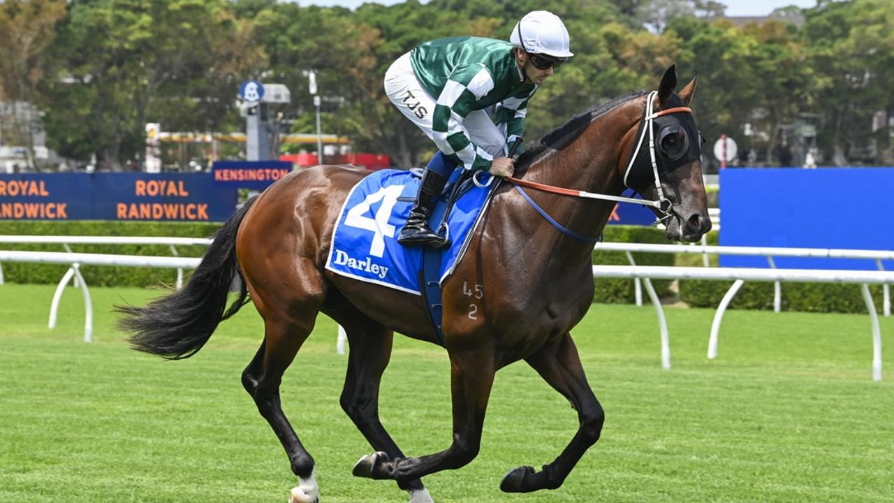 Team Hawkes calculates Slipper chances with Algorithmic