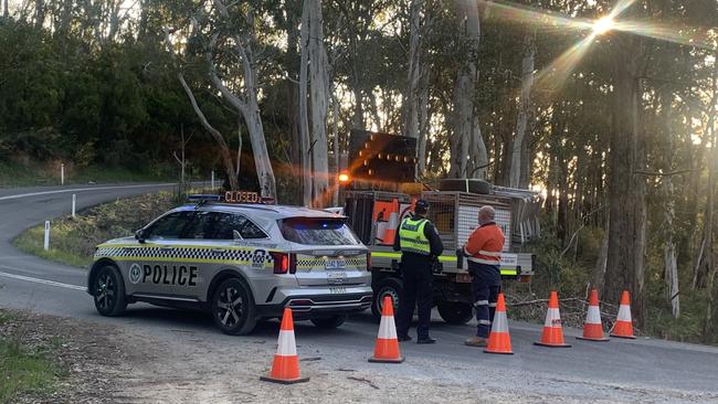 Emergency services at the scene of the crash at Cleland. Picture: George Yankovich