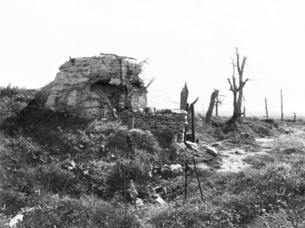 Thousands of Australians became casualties in the barren battlefields around Pozieres, France, in WWI.