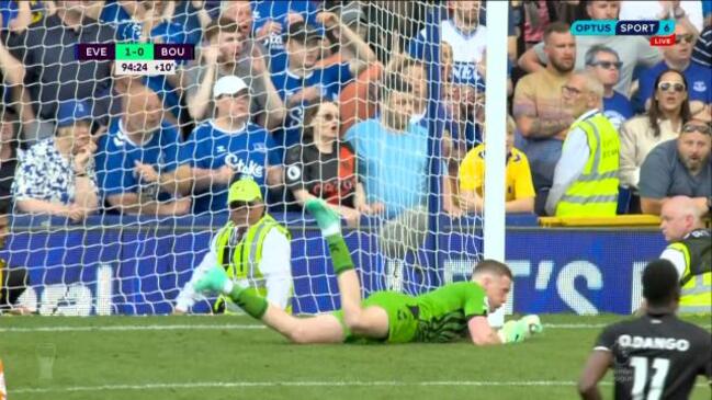 Pickford saves Toffees from relegation in dying minutes