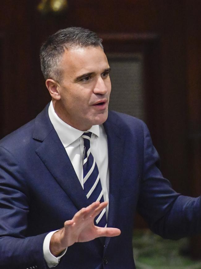 Peter Malinauskas