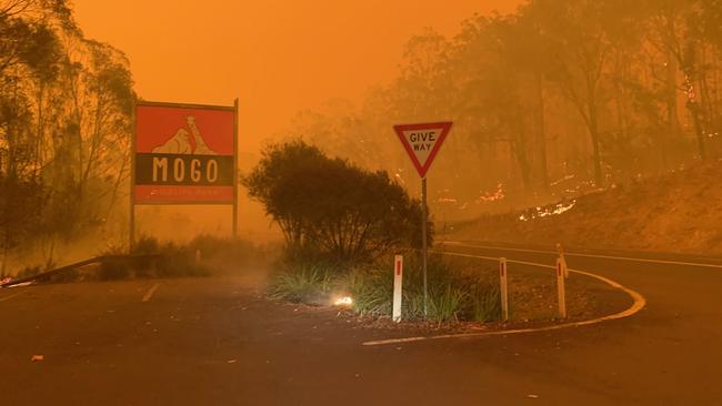 Bushfires closing in on Mogo Zoo, December 2019. Picture: Supplied