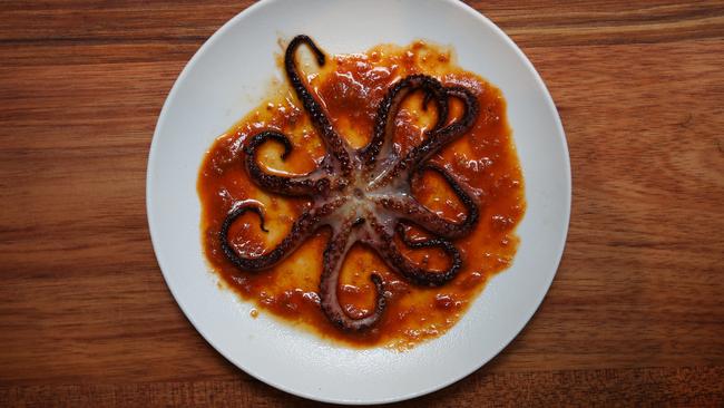 Octopus n'duja at Ilaria. Picture Rebecca Michael.