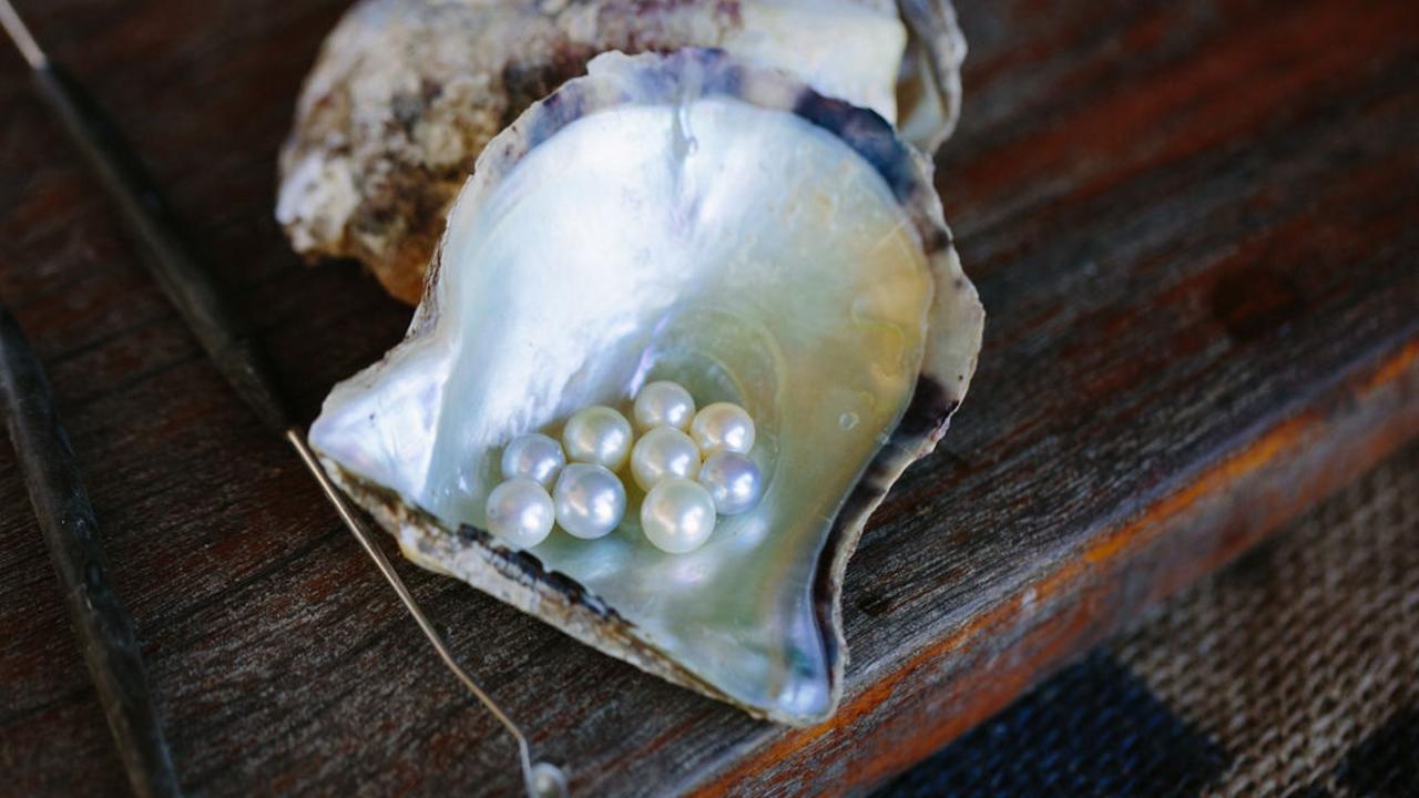 Golden pearls: An elusive gem of the sea for Australia's pearl industry -  ABC News