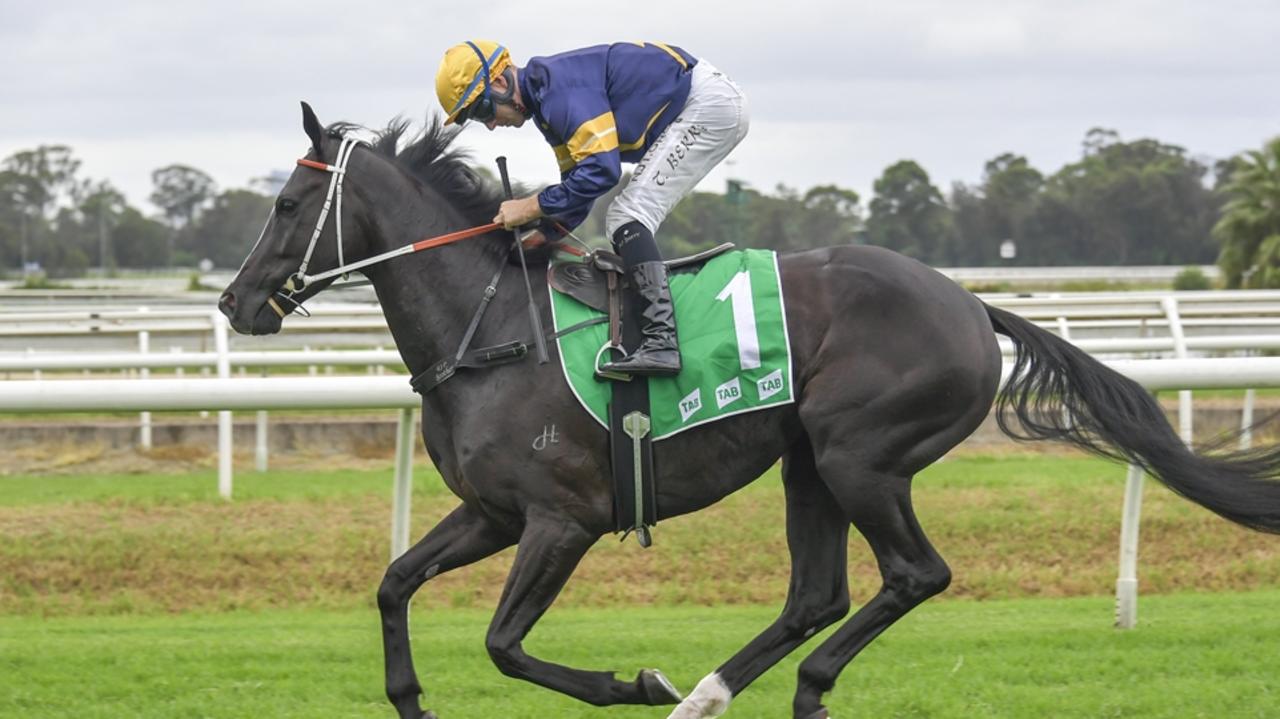 Pesto will appreciate a step up in distance and rates highly in Race 3. Picture: Bradley Photos