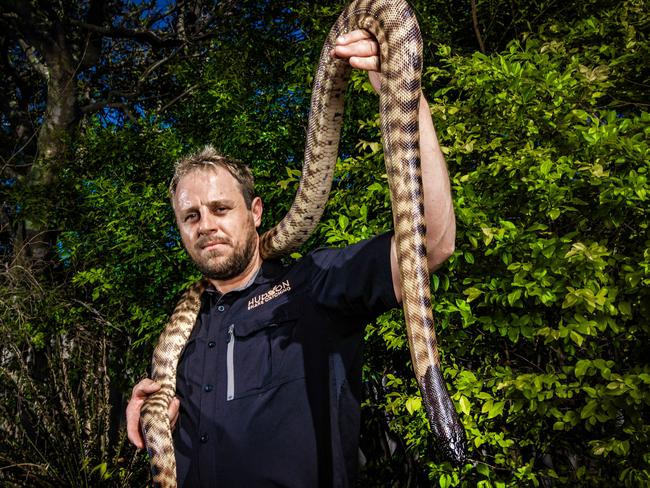 Snake catcher Tim Hudson. Picture: Nigel Hallett.
