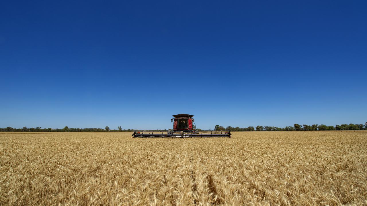Bright signs for agriculture in 2021