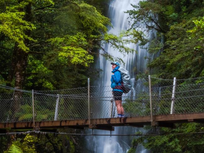 Little Homer Falls, Hollyford Track, South Island, New Zealand.