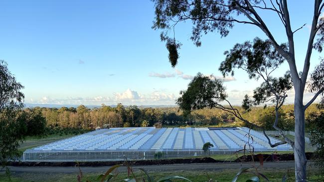 The CannaPacific production facility near Lismore includes a 10,000 sqm Dutch glasshouse and high-security outdoor cultivation area.