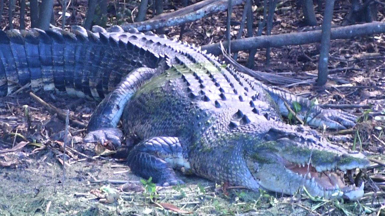 Defence rejects safety fail after soldiers mauled by croc
