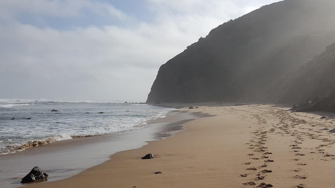 Two bodies found on walking track near Wreck Beach, Gellibrand Lower ...