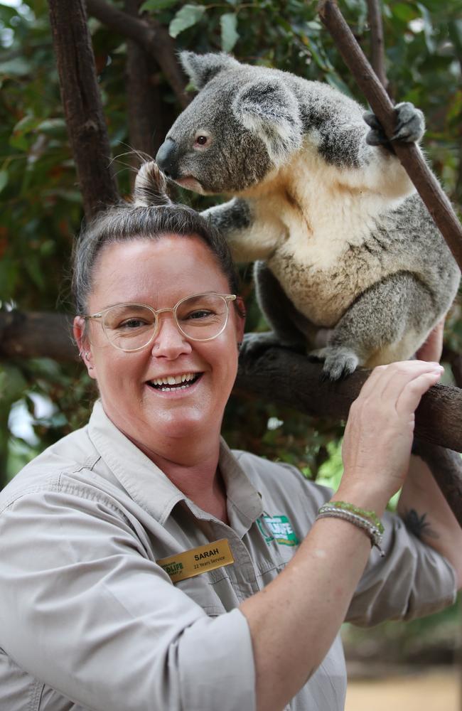 Gold Coast Bulletin Women of the Year nominee Renee Brescianini is the ...