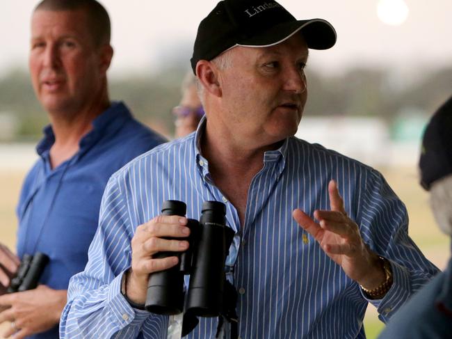 Trainer David Hayes says it is a distressing situation, but the outcome may not be as bad as first thought.