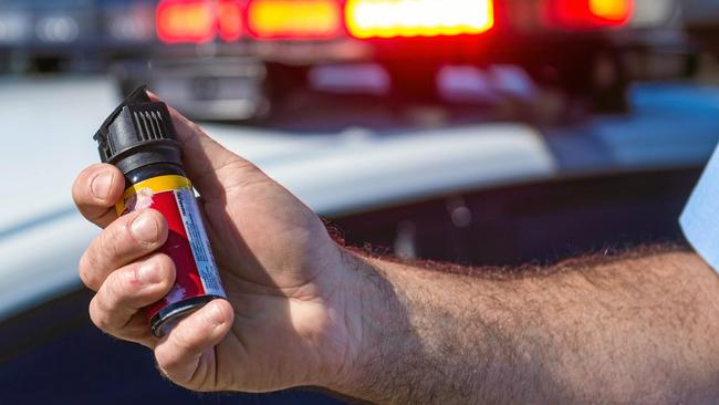 Police had to use capsicum spray when they arrested Michael Thomas Anthony Wright in Linden Ave. File image. Picture: Trevor Veale