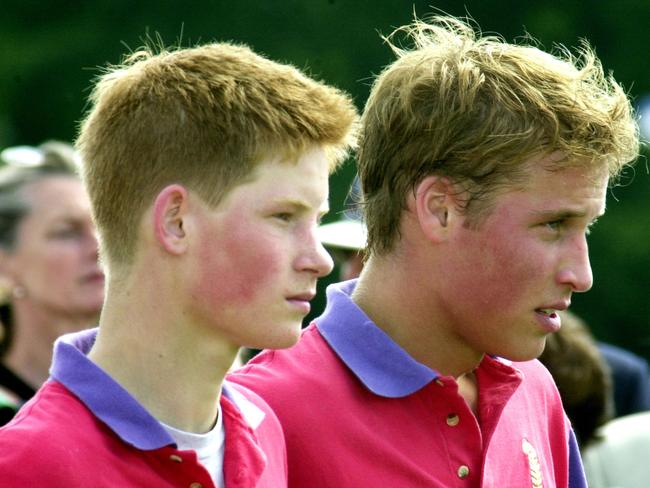 Prince Harry with Prince William at a polo match in July 2001, when the alleged encounter took place. Picture: Getty Images