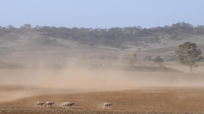 High winds blow up the dust. Picture: Mark Brake