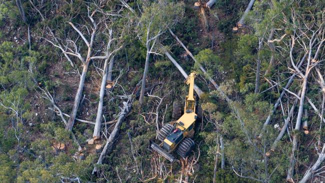 Logging at Eastern Tiers, Tasmania.