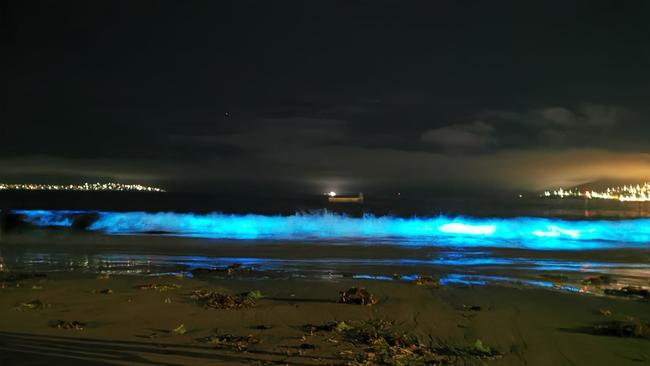 Bioluminescent algae, Tasmania. Picture: Facebook