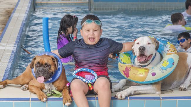 Braxton with Bruce and Clyde at the annual pooch pool party at Whittlesea Swim Centre. Picture: Rob Leeson.