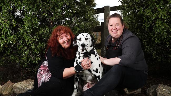 Heather Quarry of Gagebrook with her dalmatian Winston and Doctor Rhianna Booth of Brighton Veterinary Services. Winston ate a plastic toy Ooshie Lion that required surgery to help him pass it through his body. Picture: NIKKI DAVIS-JONES