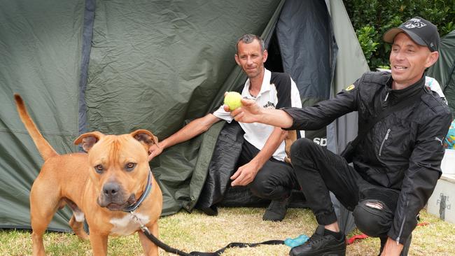 Homeless men at Bolivar Caravan Park - Identical twins, Scott (back), and Matt Bleach,43, their dog Brutus, have lived in tents for the past couple of years. Picture: Dean Martin