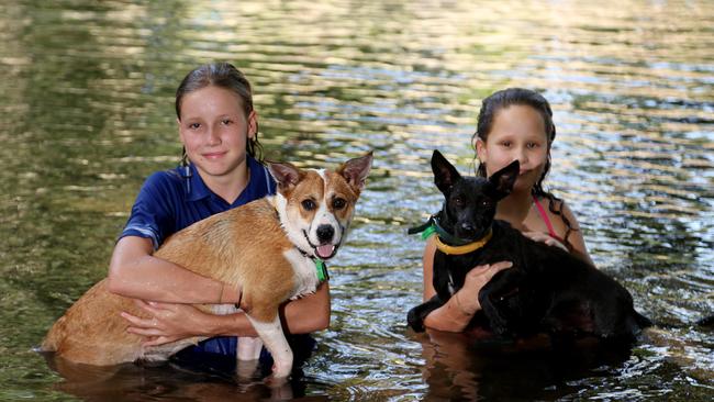 It's hot and only getting hotter from here on out. Sisters Sumaya, 10, and Iesha Hargrave, 13, from Brinsmead beating the heat in the cool water of Freshwater Creek at Goomboora Park with their dogs Zeus and Jen. PICTURE: STEWART MCLEAN