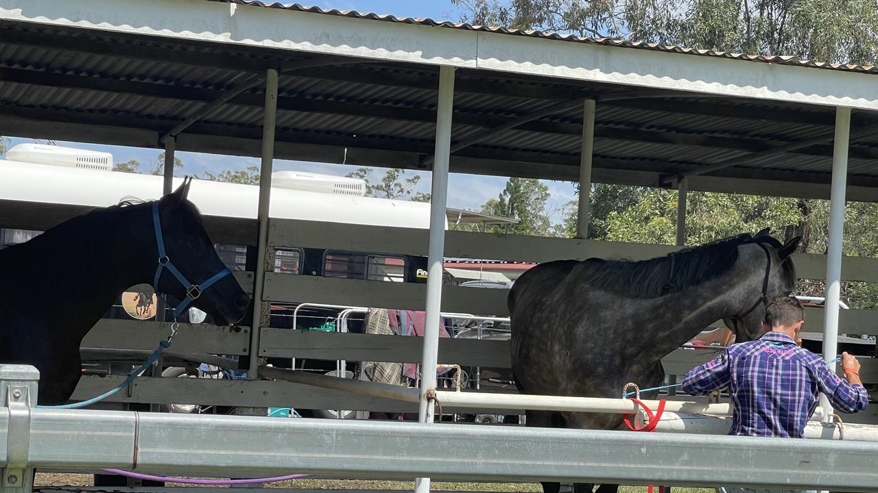 The sights and sounds of the races were enjoyed by all.