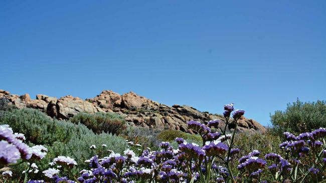 Canal Rocks on the Indian Ocean, in the Margaret River region in Western Australia. Picture: Rae Wilson