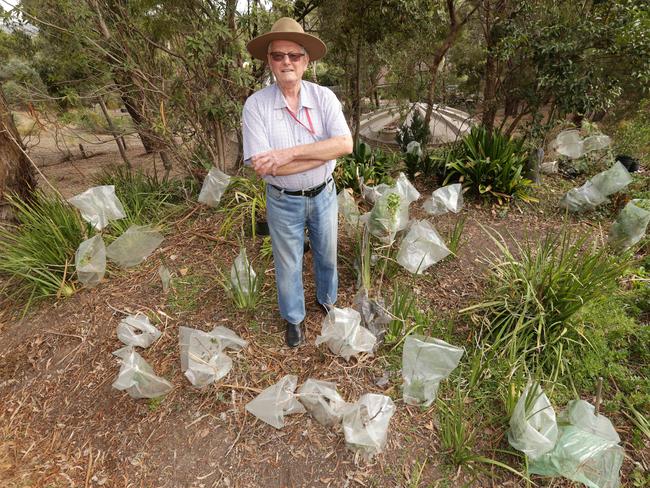 Fred Bauer has had his Eltham garden destroyed by feral deer. Picture: Norm Oorloff