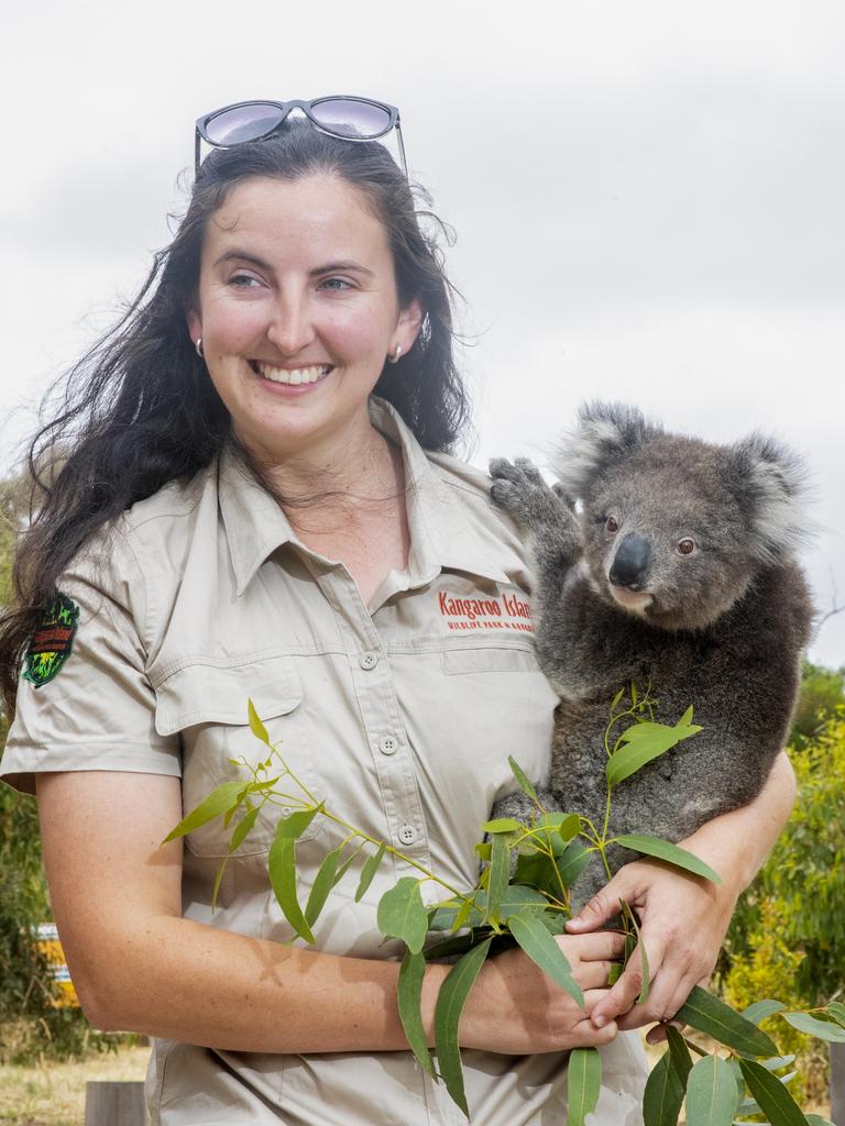 Dana Mitchell is the director of the Kangaroo Island Koala Rescue Centre. Picture Simon Cross