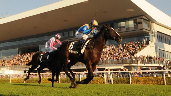 Music Magnate takes out the Doomben 10,000 after the pacemakers set a gut-busting tempo in the classic not seen for many years. Picture: Grant Peters, Trackside Photography