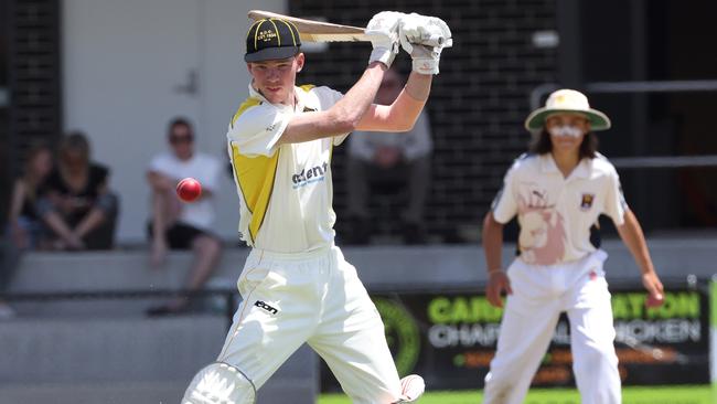 Aaron Bardwell of Seaford batting. Picture: Hamish Blair