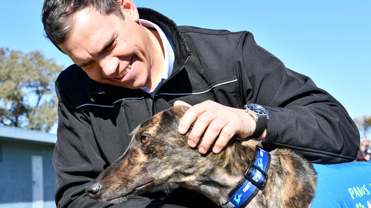 Tony Mestrov was very successful as chief executive at Greyhounds NSW.