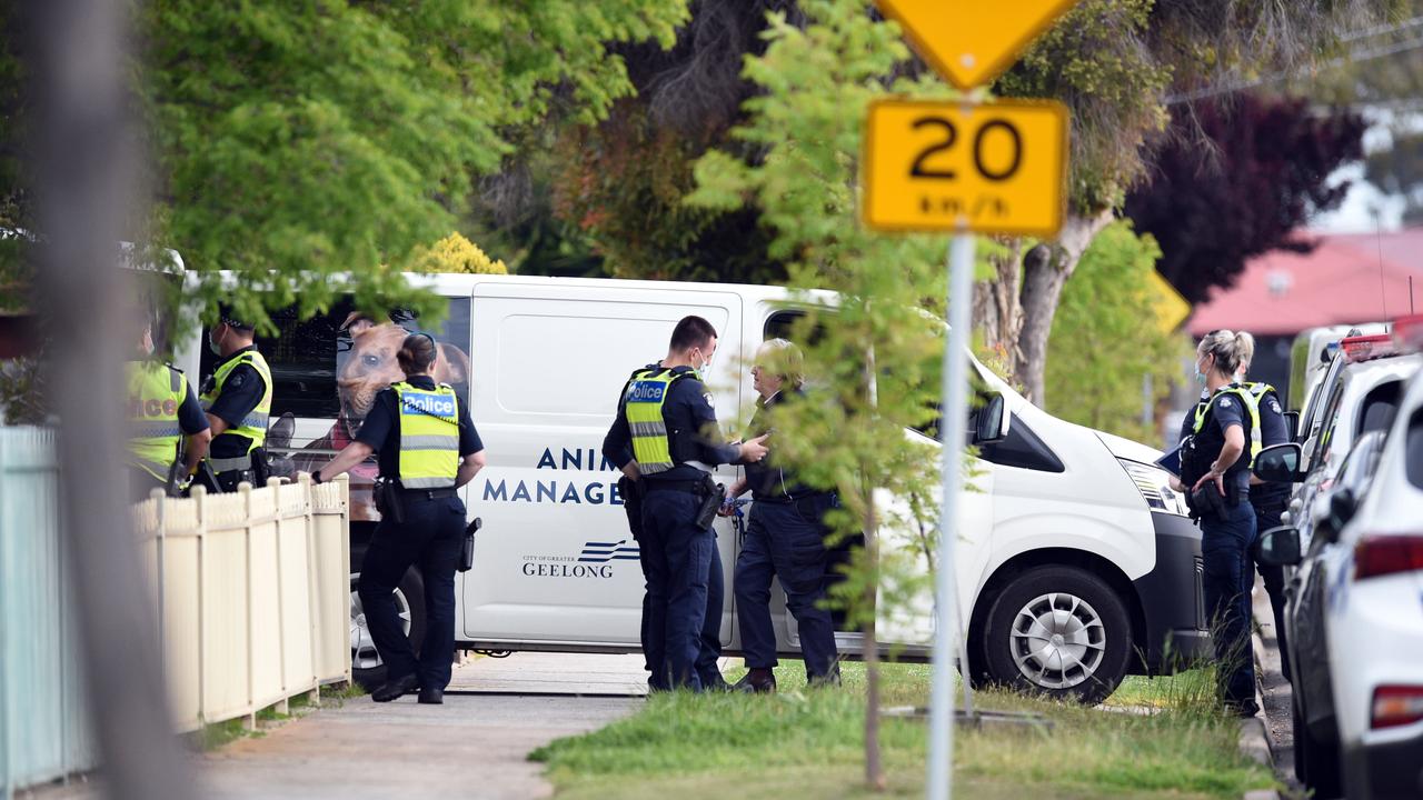 Dog attack in Cloverdale Dr in Corio. Picture: David Smith